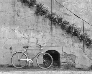 Bicycle & Cracked Wall, Einsiedeln, Switzerland 04 | Obraz na stenu