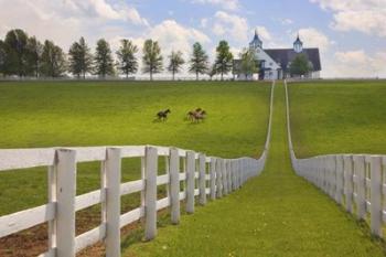 Manchester Farm, Kentucky 08 | Obraz na stenu