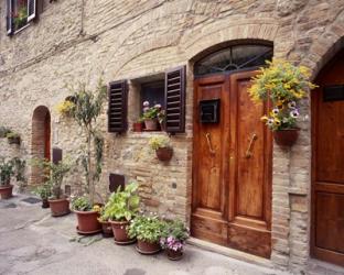 Flowers On The Wall, Tuscany, Italy 06 | Obraz na stenu