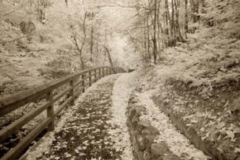 Fence & Pathway, Munising, Michigan 12 | Obraz na stenu