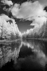 Mirror Of Heaven, Palms Book State Park, Michigan 12 | Obraz na stenu