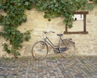 Bicycle, Turckheim, France 99 | Obraz na stenu