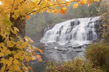 Lower Bond Falls In Autumn #2, Bruce Crossing, MI 11 | Obraz na stenu