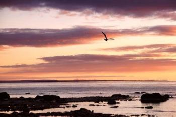 Flying At Sunrise, Sault St. Marie, Michigan 12 | Obraz na stenu