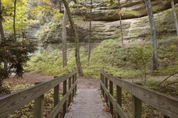 Bridge In The Canyon | Obraz na stenu