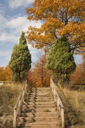 Wooden Steps In Autumn, Marquette, Michigan 12 | Obraz na stenu