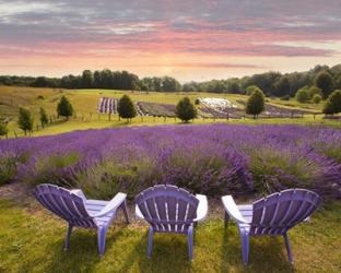 Lavender Chairs, Horton Bay, Michigan '14-color | Obraz na stenu
