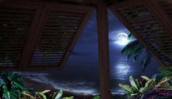 Tropical Dream Moon View | Obraz na stenu