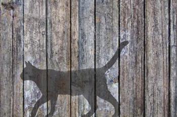 Barn Cat Shadow 5 | Obraz na stenu
