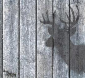 Deer Shadow | Obraz na stenu