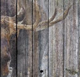 The Moose | Obraz na stenu