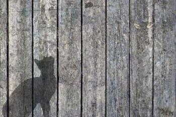 Cat And Mouse Shadow 2 | Obraz na stenu