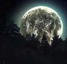 Moon Howl | Obraz na stenu