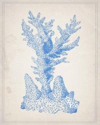 Blue Coral 1 | Obraz na stenu