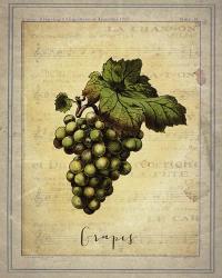 Grapes 2 | Obraz na stenu