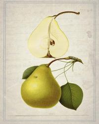 Pears 2 | Obraz na stenu