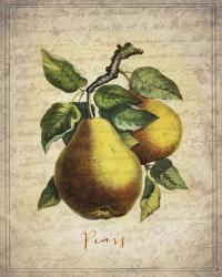 Pears | Obraz na stenu