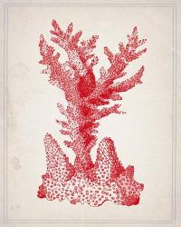 Red Coral 1 | Obraz na stenu