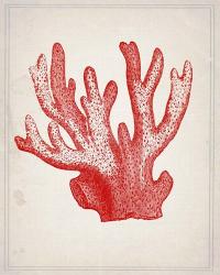 Red Coral 3 | Obraz na stenu