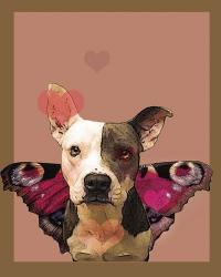 Butterfly Dog 2 | Obraz na stenu