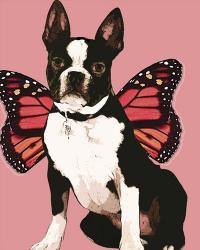 Butterfly Dog 3 | Obraz na stenu