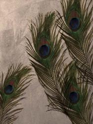 Peacock Feathers I | Obraz na stenu