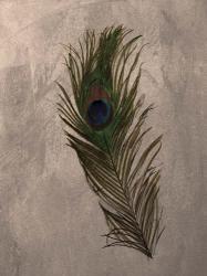 Peacock Feathers II | Obraz na stenu