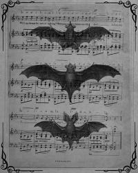 Vintage Bats 1 | Obraz na stenu