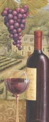 French Vineyard II | Obraz na stenu