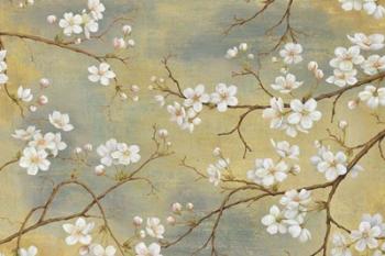 White Blossom I | Obraz na stenu