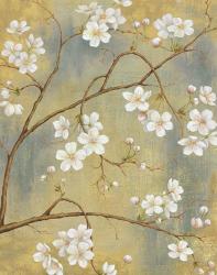 White Blossom II | Obraz na stenu