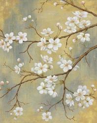 White Blossom III | Obraz na stenu