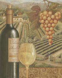 French Vineyard III | Obraz na stenu