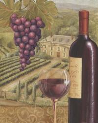 French Vineyard IV | Obraz na stenu