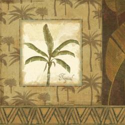 Palmier Tropical II | Obraz na stenu