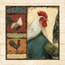 Rooster Portraits I | Obraz na stenu