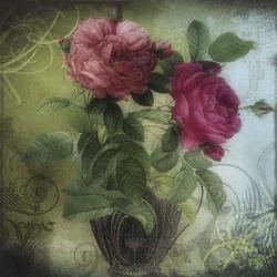 Tea and Roses II | Obraz na stenu