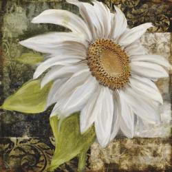 White Sunflower II | Obraz na stenu