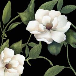 Sweet Magnolias I | Obraz na stenu