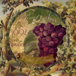 Wines of France II | Obraz na stenu