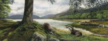Otters | Obraz na stenu