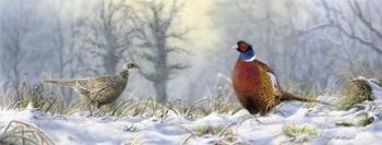 Pheasants | Obraz na stenu