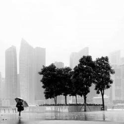 Singapore Umbrella | Obraz na stenu