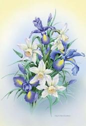 Irises | Obraz na stenu