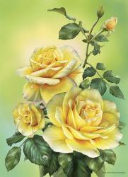 Roses Yellow | Obraz na stenu