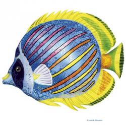Fish 1 Blue-Yellow | Obraz na stenu