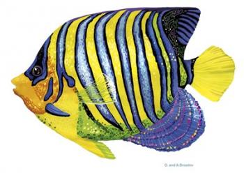 Fish 2 Blue-Yellow | Obraz na stenu