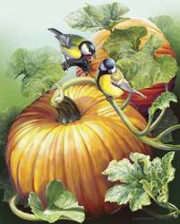 Two Birdies On Pumpkin | Obraz na stenu