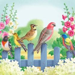 Songbirds On Fence | Obraz na stenu