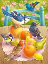 Birds And Fruits | Obraz na stenu